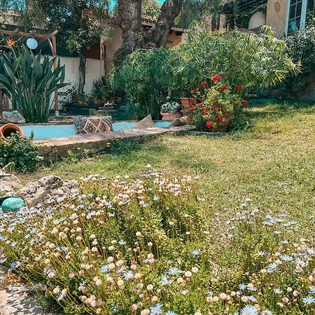 Casa Dulce Vida Marbella